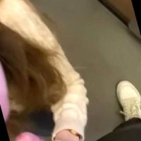 Impulsive Blowjob in the Palace Elevator