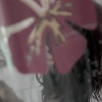 CANASTRA SUJA NUDE SCENES