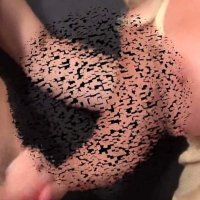Cassandra Floyd Porn Videos