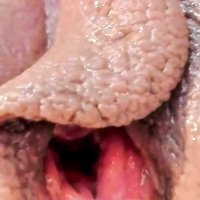 Big Fat Pussy Lips Squirting Closeup