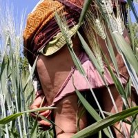 Indian Sex In Field Porn Videos: XXX 2026 7