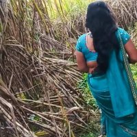 Indian Field Porn Videos: XXX 2026 7
