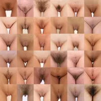 pubis nude