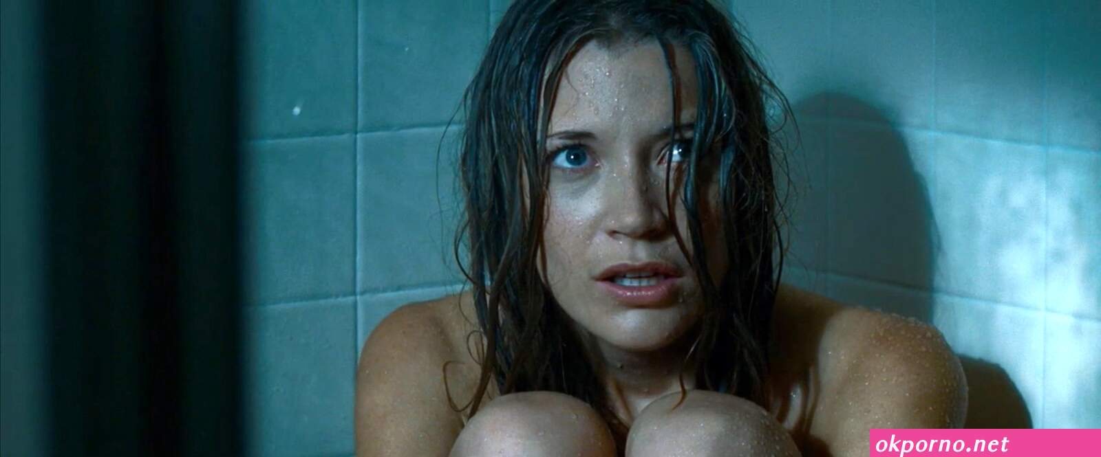 Sarah roemer nude