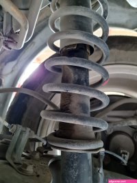 rear shocks leaking