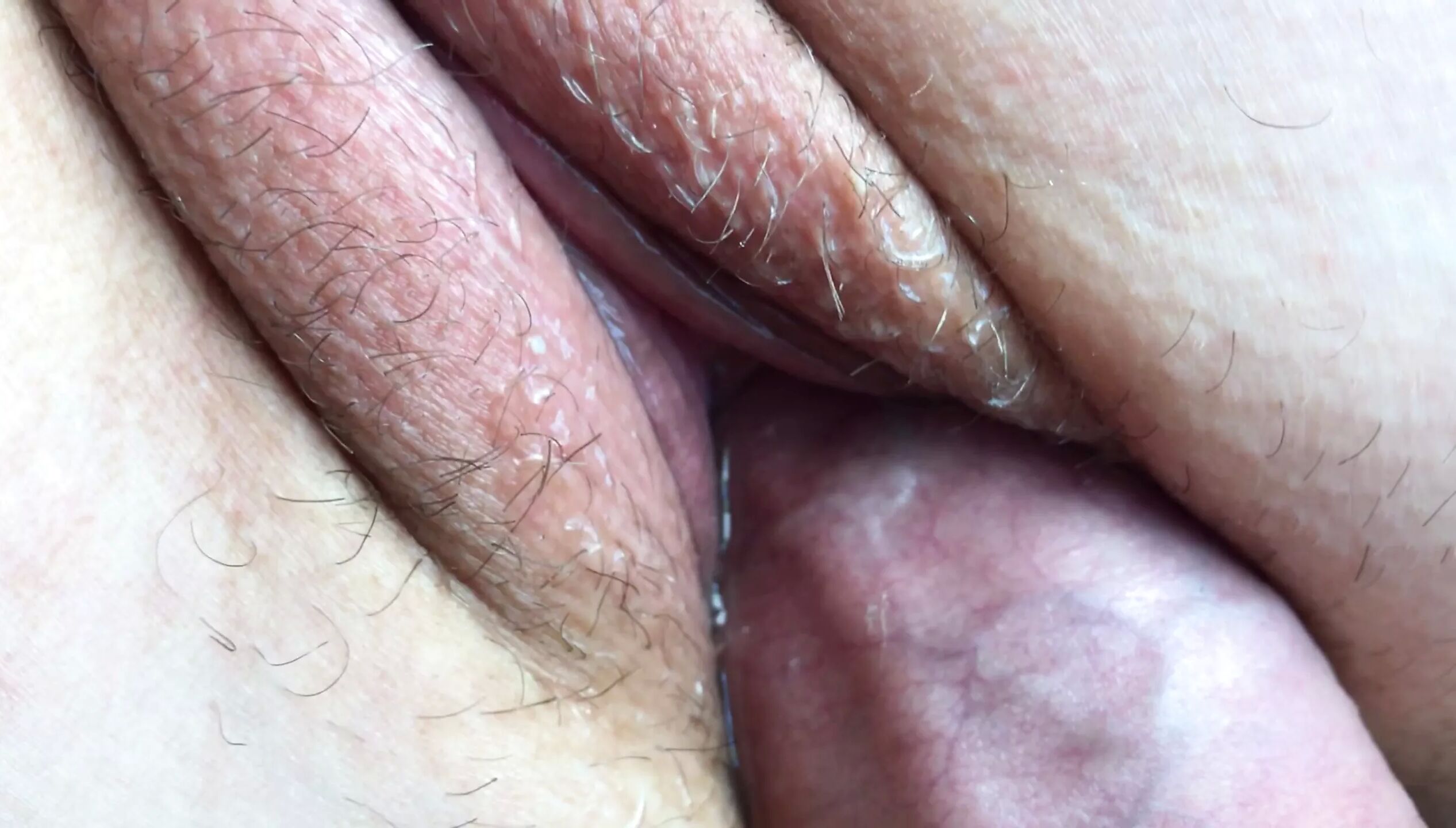 This Is What Sex Looks Like From Inside The Vagina Because Science