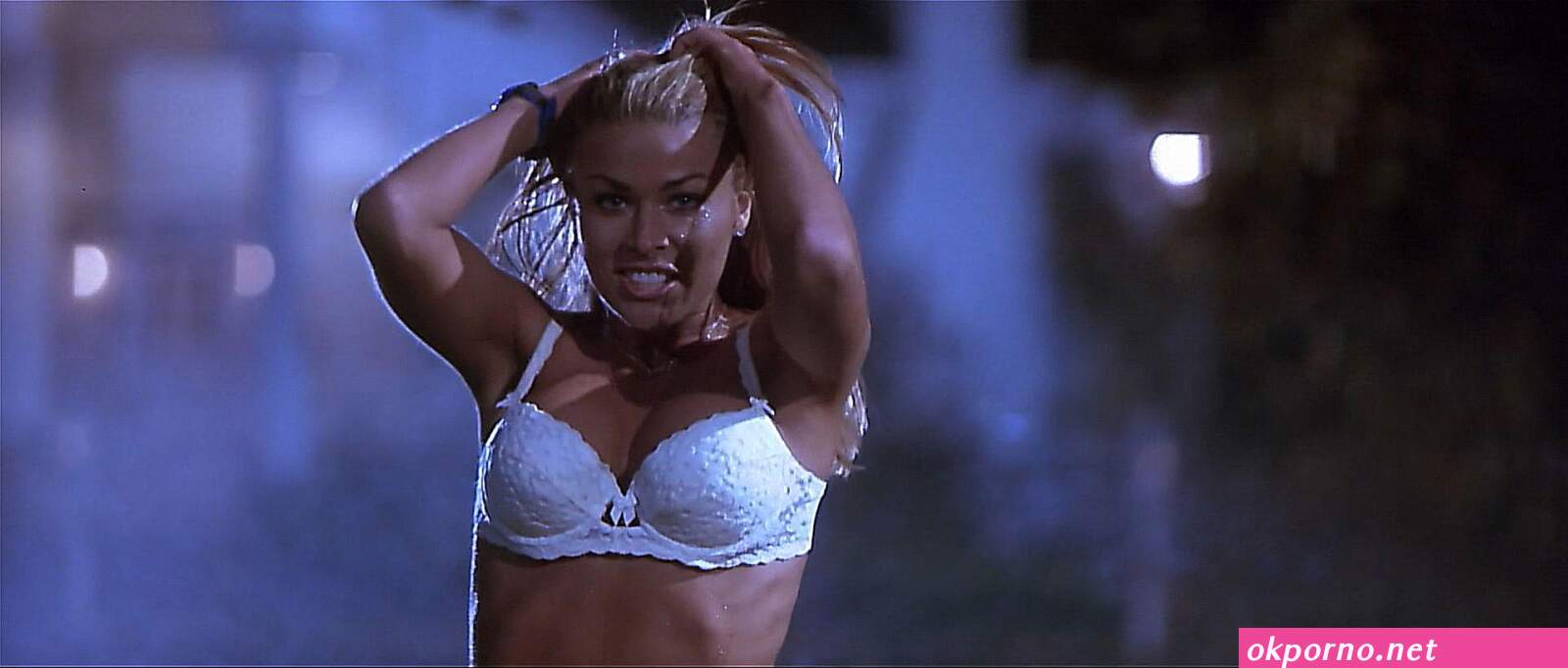 Shannon Elizabeth nude in American Pie 1999