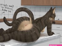 AntIra on X: Cats are assholes furry nsfw yiff furryporn porn
