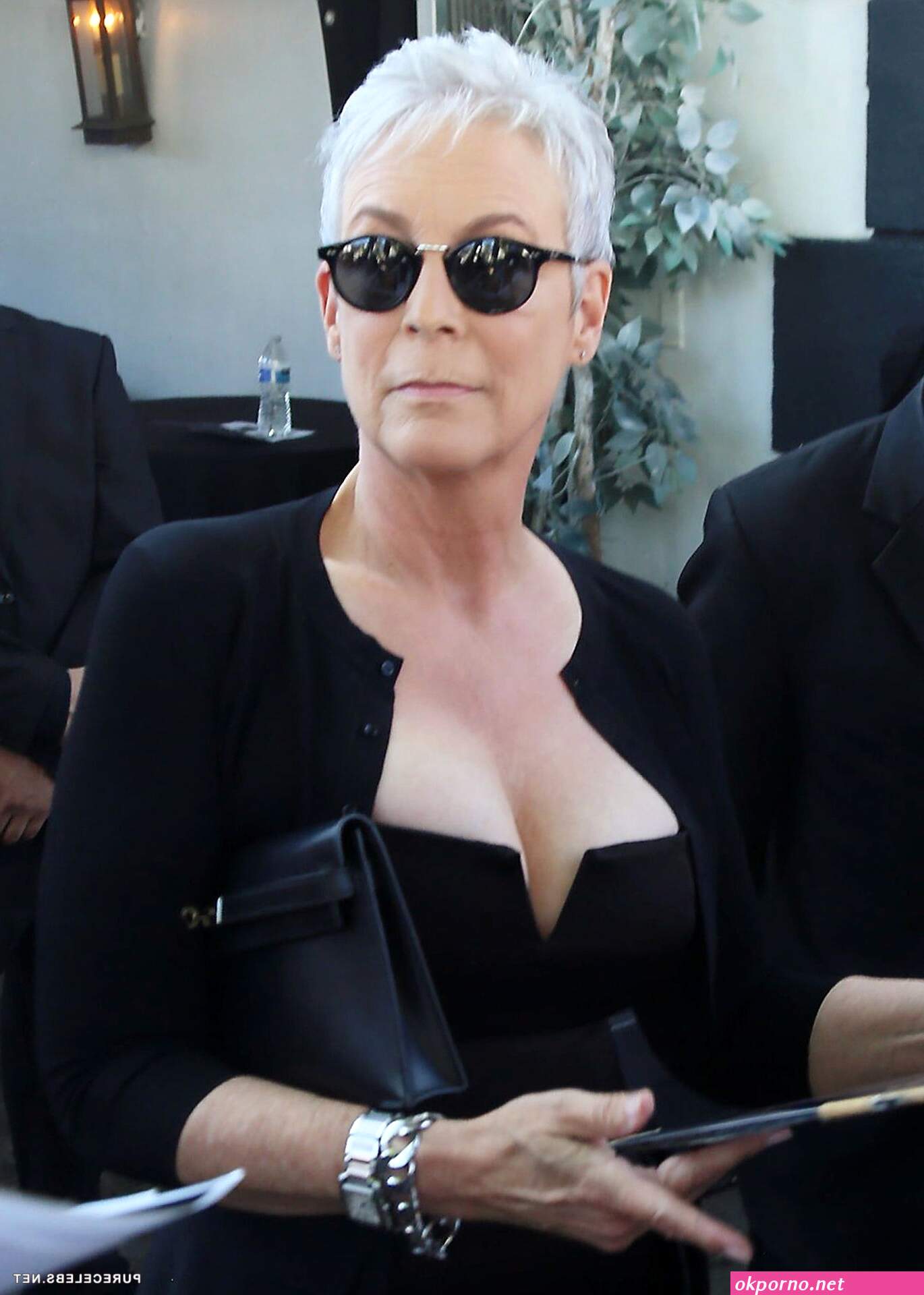 Jamie Lee Curtis Naked