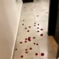OnlyFans Alejandra Quiroz video 3