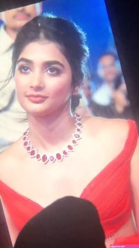 Pooja Hegde Xxx Porn Videos
