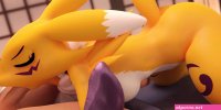 Renamon Blowjob