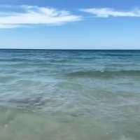 OnlyFans – Meria Arreghini ❤👙😘 - Page 2 video 18