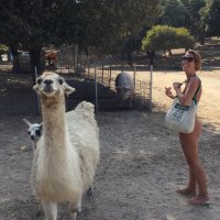 Naked Wanderings on X: Sometimes we dream the weirdest things... Last night I dreamt that a herd of lamas came to meet us at Riva Bella and then one tried to kiss