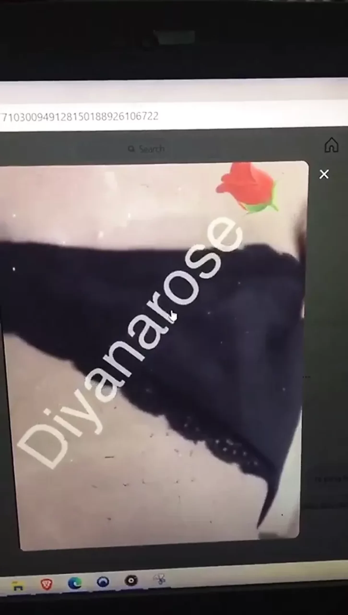 Porn diyana sakura