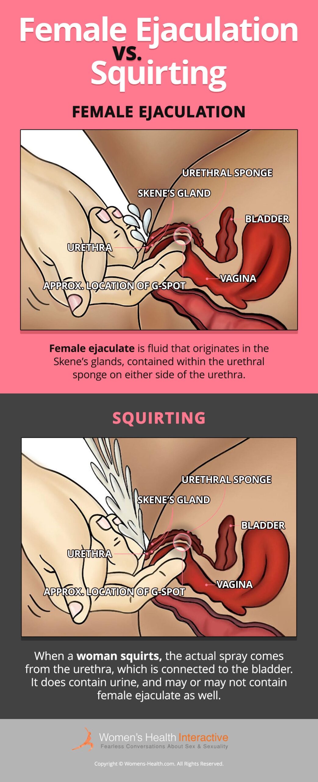Ass squirtting