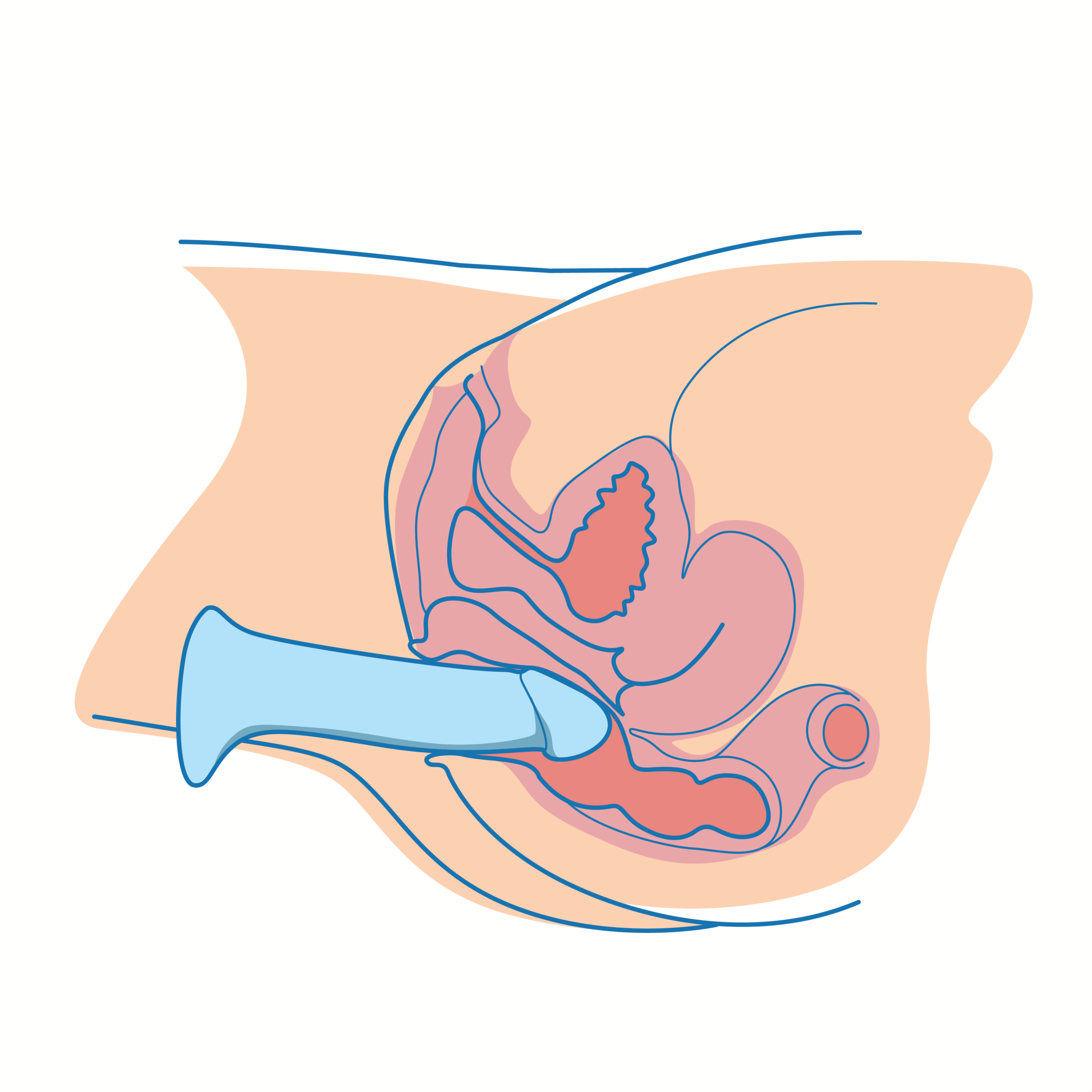 Solo female anal dildo