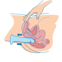 Anal Dildos: Everything You Need To Know