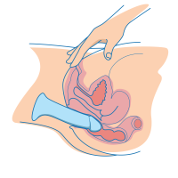 Anal Dildos: Everything You Need To Know