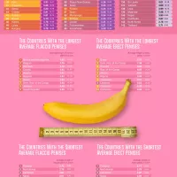 World Countries Ranked by Penis Size