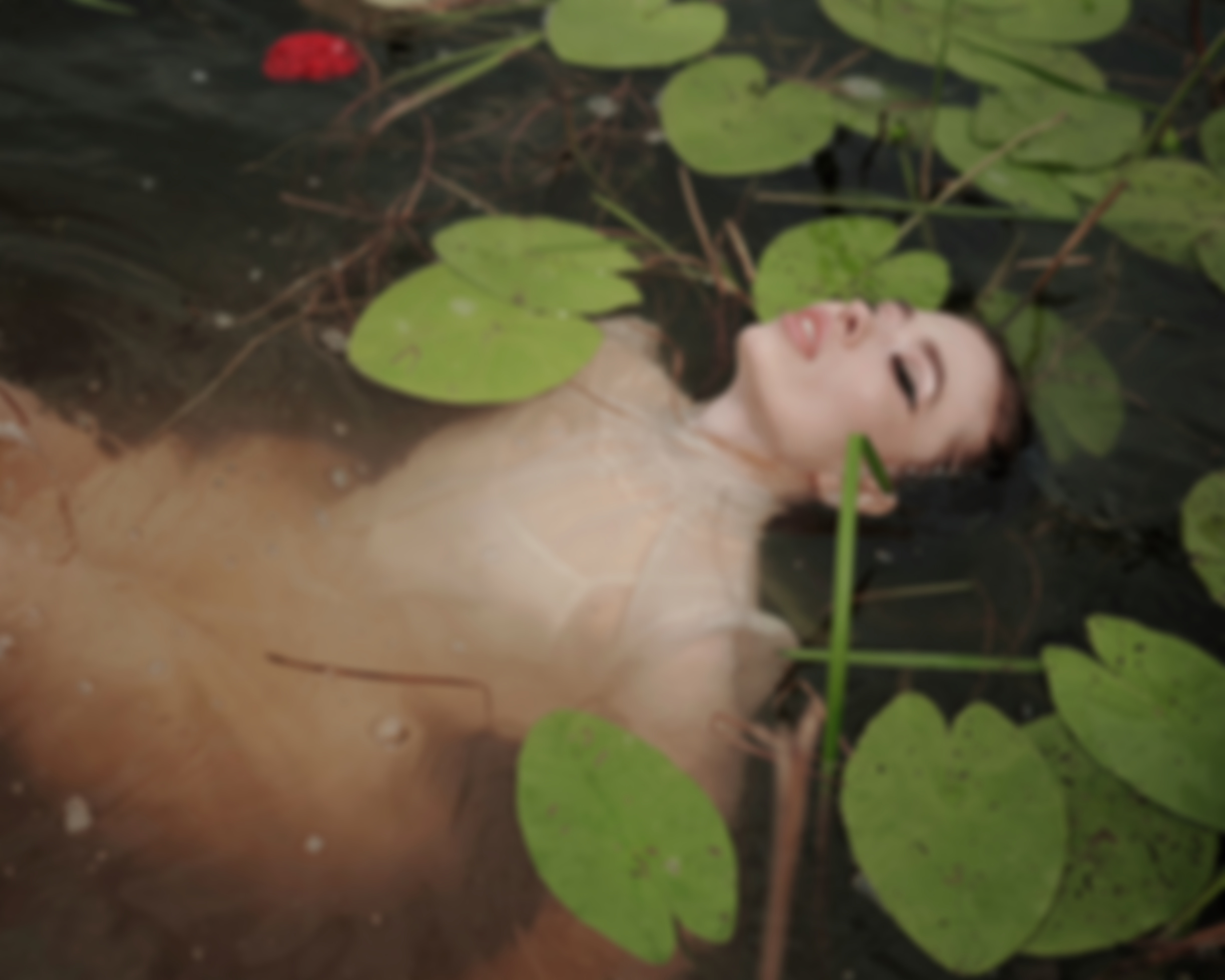 Anastasia sereda patreon leaks