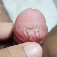 Woah Vicky Sex Tape Porn Videos: Best Gay Full HD 1080p XXX 2025
