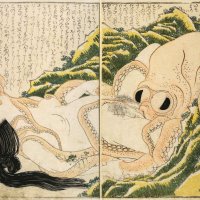 The Dream of the Fishermans Wife