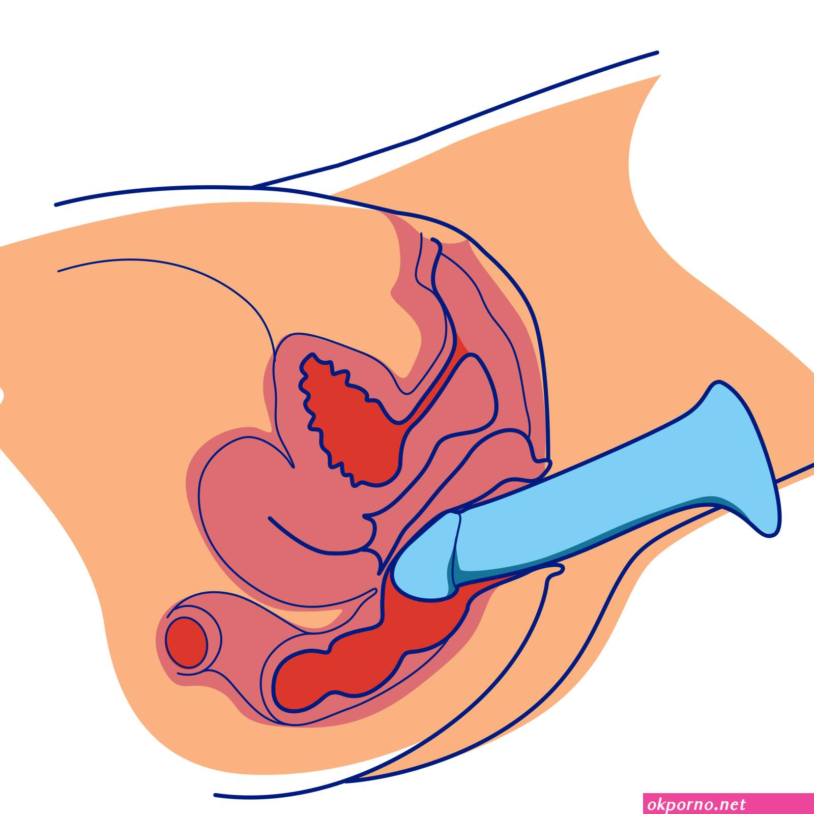 Anal play dildo