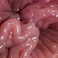 Anal masturbation orgasm Porno Videos