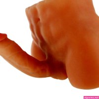 : Toms Realistic 3D Ass : Health Household