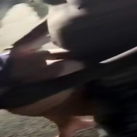 5 Guys Fuck My Girlfriend While I Watch LOL