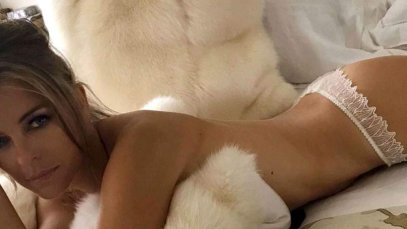 Liz hurley nude fake