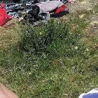 Video porno Uso Pubblico gratis