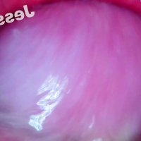 Canape anal Porno Videos